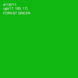 #11B711 - Forest Green Color Image