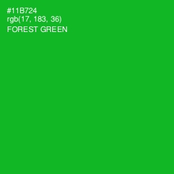 #11B724 - Forest Green Color Image