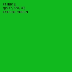 #11B91E - Forest Green Color Image