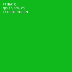 #11BA1C - Forest Green Color Image