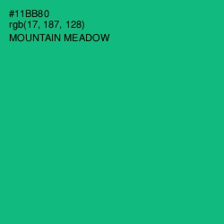 #11BB80 - Mountain Meadow Color Image