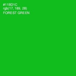 #11BD1C - Forest Green Color Image