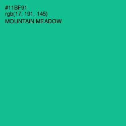 #11BF91 - Mountain Meadow Color Image