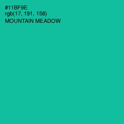 #11BF9E - Mountain Meadow Color Image