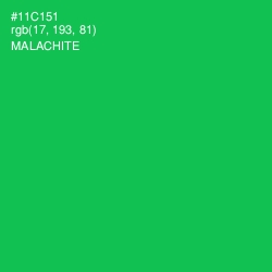 #11C151 - Malachite Color Image