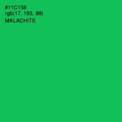#11C158 - Malachite Color Image