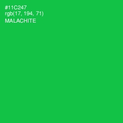 #11C247 - Malachite Color Image