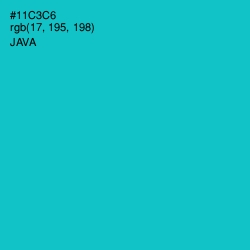 #11C3C6 - Java Color Image