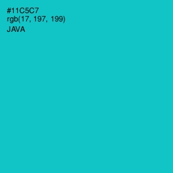 #11C5C7 - Java Color Image