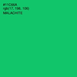 #11C66A - Malachite Color Image