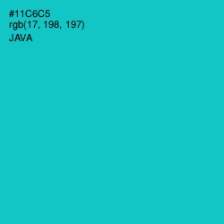 #11C6C5 - Java Color Image