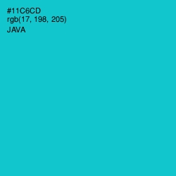 #11C6CD - Java Color Image