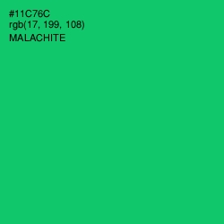 #11C76C - Malachite Color Image