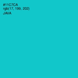 #11C7CA - Java Color Image