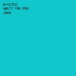 #11C7CC - Java Color Image