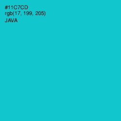 #11C7CD - Java Color Image