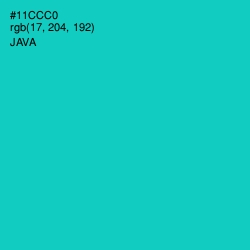 #11CCC0 - Java Color Image