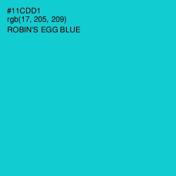 #11CDD1 - Robin's Egg Blue Color Image