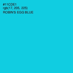 #11CDE1 - Robin's Egg Blue Color Image