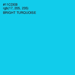 #11CDEB - Bright Turquoise Color Image