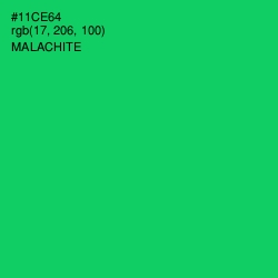 #11CE64 - Malachite Color Image