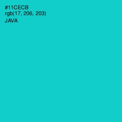 #11CECB - Java Color Image