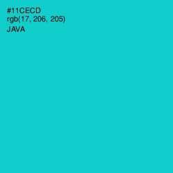 #11CECD - Java Color Image