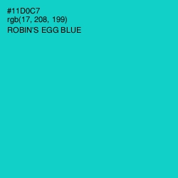 #11D0C7 - Robin's Egg Blue Color Image