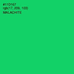 #11D167 - Malachite Color Image