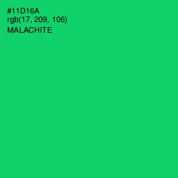 #11D16A - Malachite Color Image