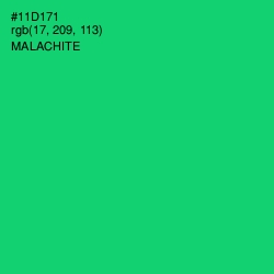 #11D171 - Malachite Color Image