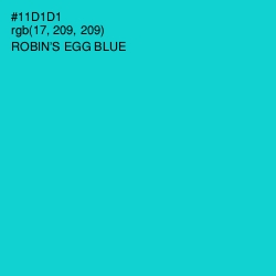 #11D1D1 - Robin's Egg Blue Color Image