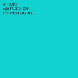 #11D2D1 - Robin's Egg Blue Color Image