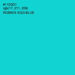 #11D3D1 - Robin's Egg Blue Color Image