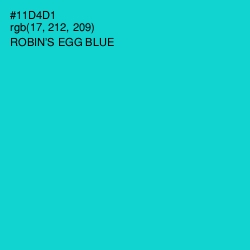 #11D4D1 - Robin's Egg Blue Color Image