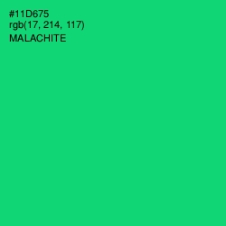 #11D675 - Malachite Color Image