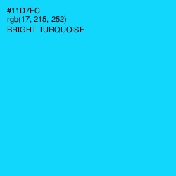 #11D7FC - Bright Turquoise Color Image