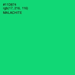 #11D874 - Malachite Color Image