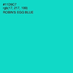 #11D9C7 - Robin's Egg Blue Color Image