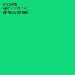 #11DA7E - Spring Green Color Image