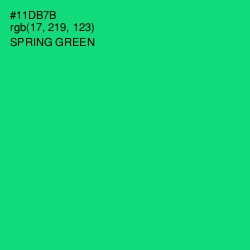 #11DB7B - Spring Green Color Image