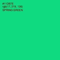 #11DB7E - Spring Green Color Image