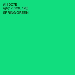 #11DC7E - Spring Green Color Image
