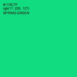 #11DC7F - Spring Green Color Image