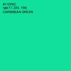 #11DF9C - Caribbean Green Color Image