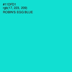 #11DFD1 - Robin's Egg Blue Color Image