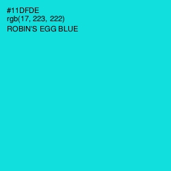 #11DFDE - Robin's Egg Blue Color Image