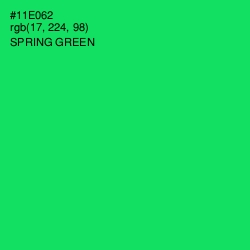 #11E062 - Spring Green Color Image