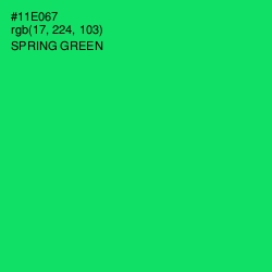 #11E067 - Spring Green Color Image