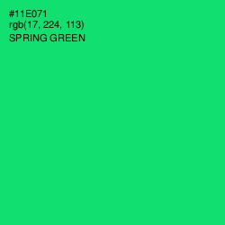 #11E071 - Spring Green Color Image